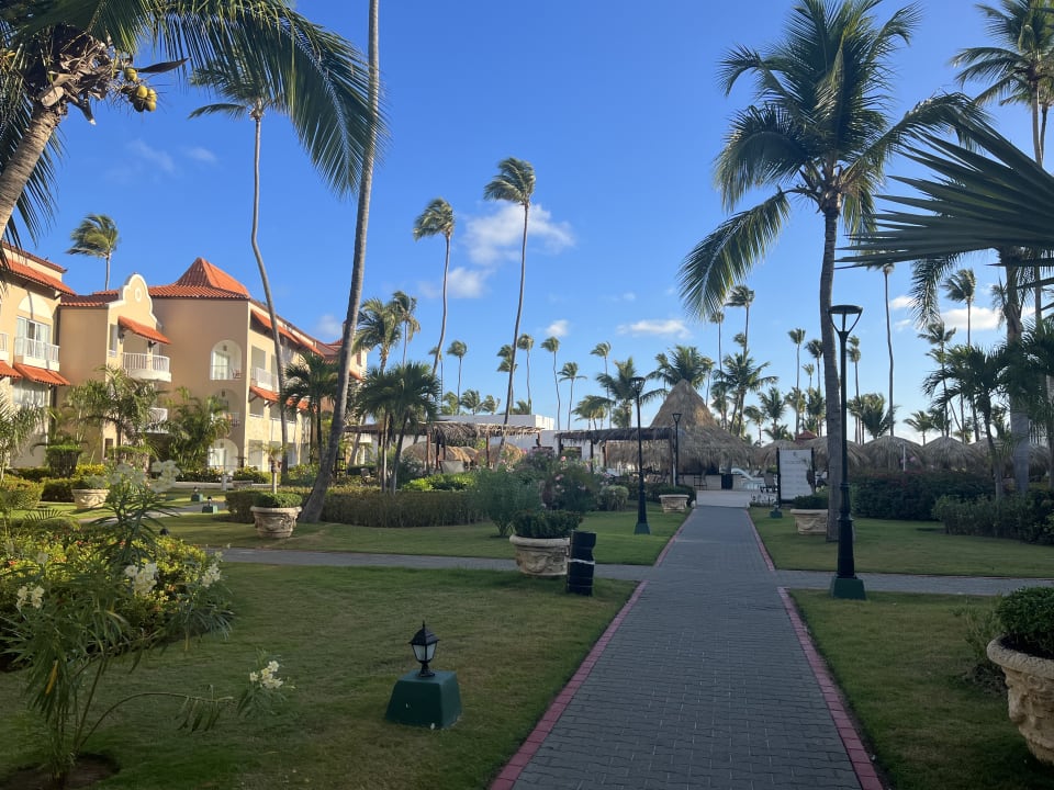 Gartenanlage TRS Turquesa Hotel - Adults only