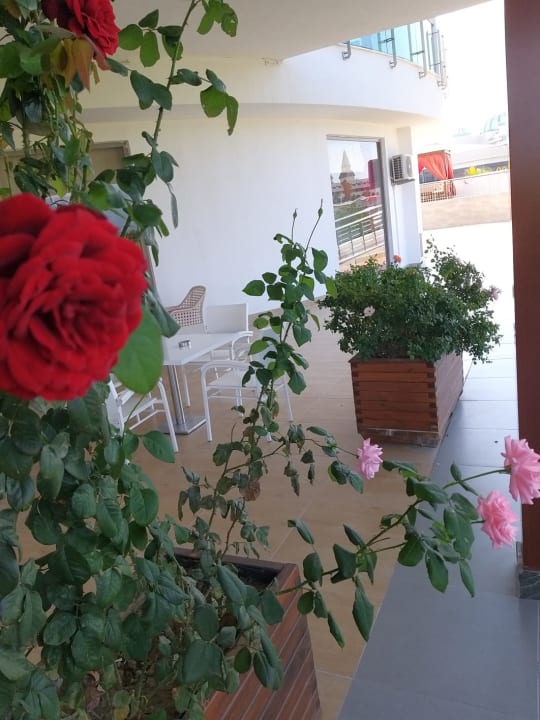 Sonstiges Dream World Aqua Hotel