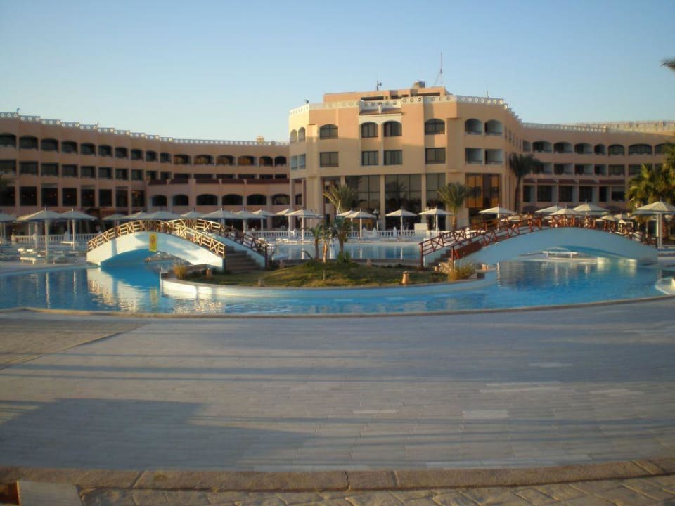 Pool zum Strand Beach Albatros Resort