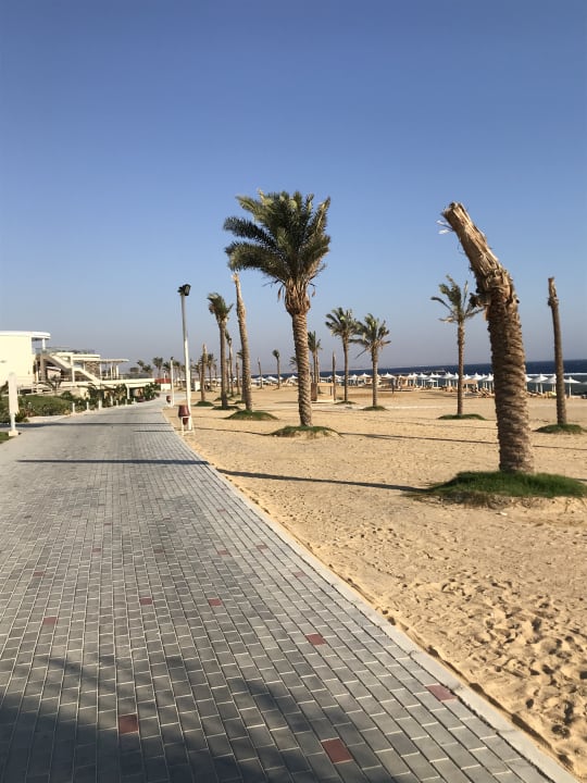 Strand Pickalbatros Sea World Resort - Marsa Alam