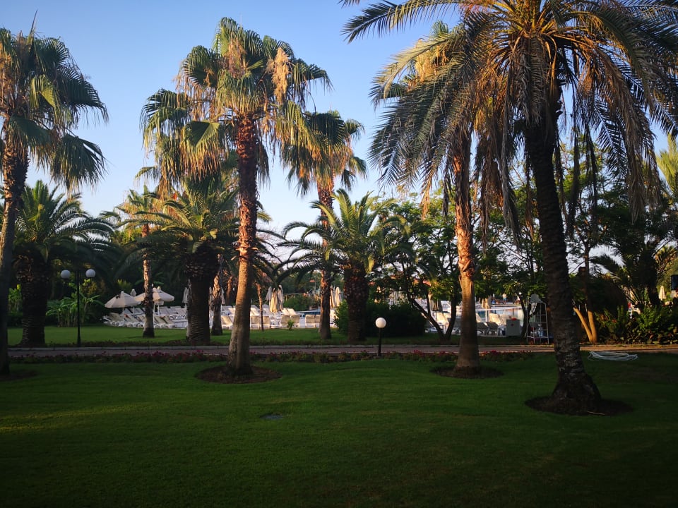 Garten Sunrise Resort Hotel