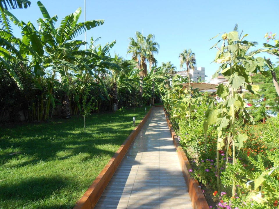 Weg zum Hinterausgang Hotel Sidekum