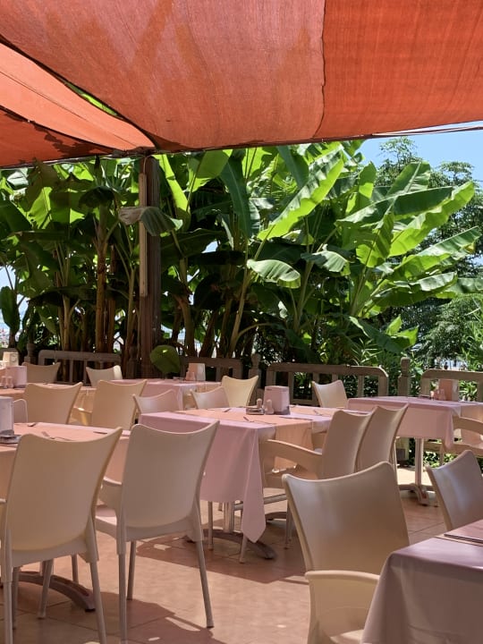 Gastro Hotel Terrace Beach Resort