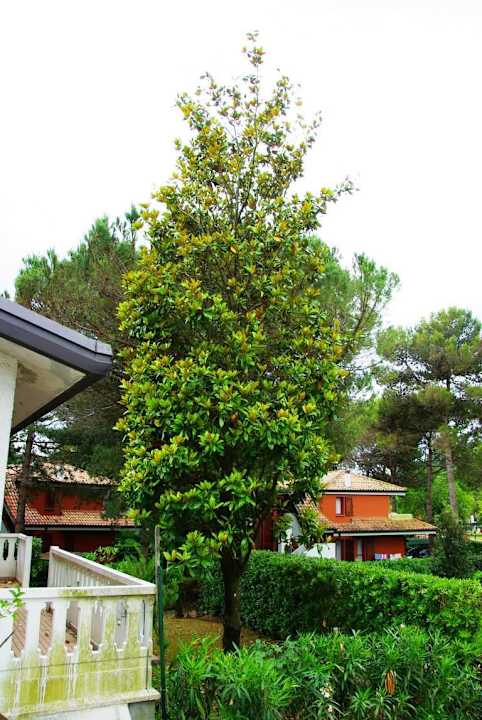 Links Nachbarshaus Villa Erica