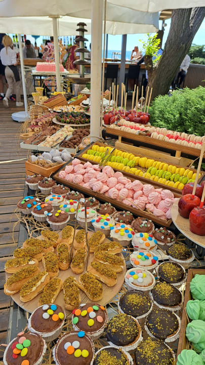 Gastro PALOMA Perissia