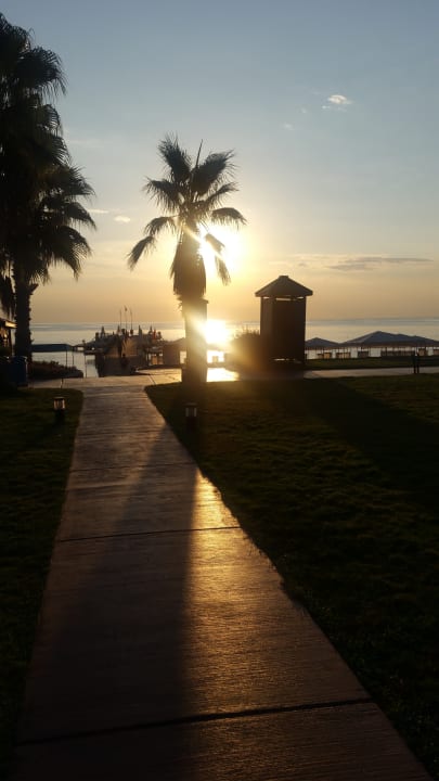 Garten TUI MAGIC LIFE Beldibi +16