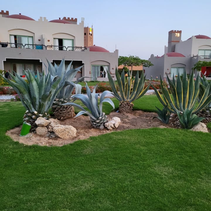 Gartenanlage Sentido Akassia Beach