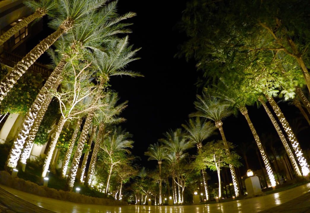 Gartenanlage Makadi Palace