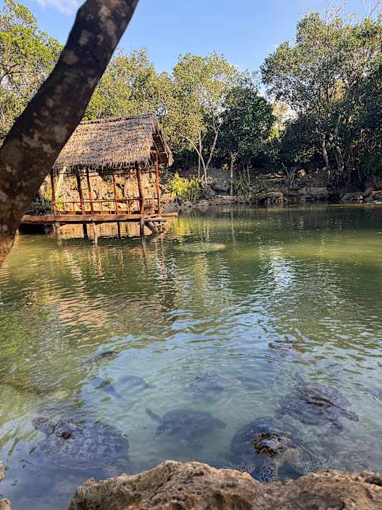 Sport & Freizeit TUI Blue Bahari Zanzibar