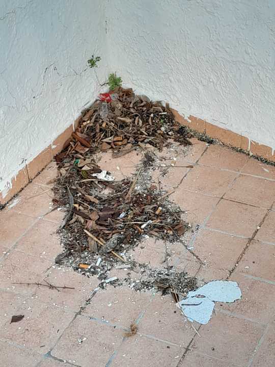 Außenansicht Hotel Bel Azur Thalasso & Bungalows