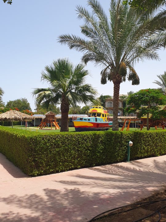 Gartenanlage Desert Rose