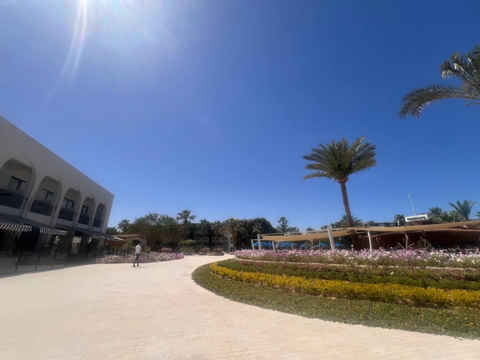 Gartenanlage Desert Rose