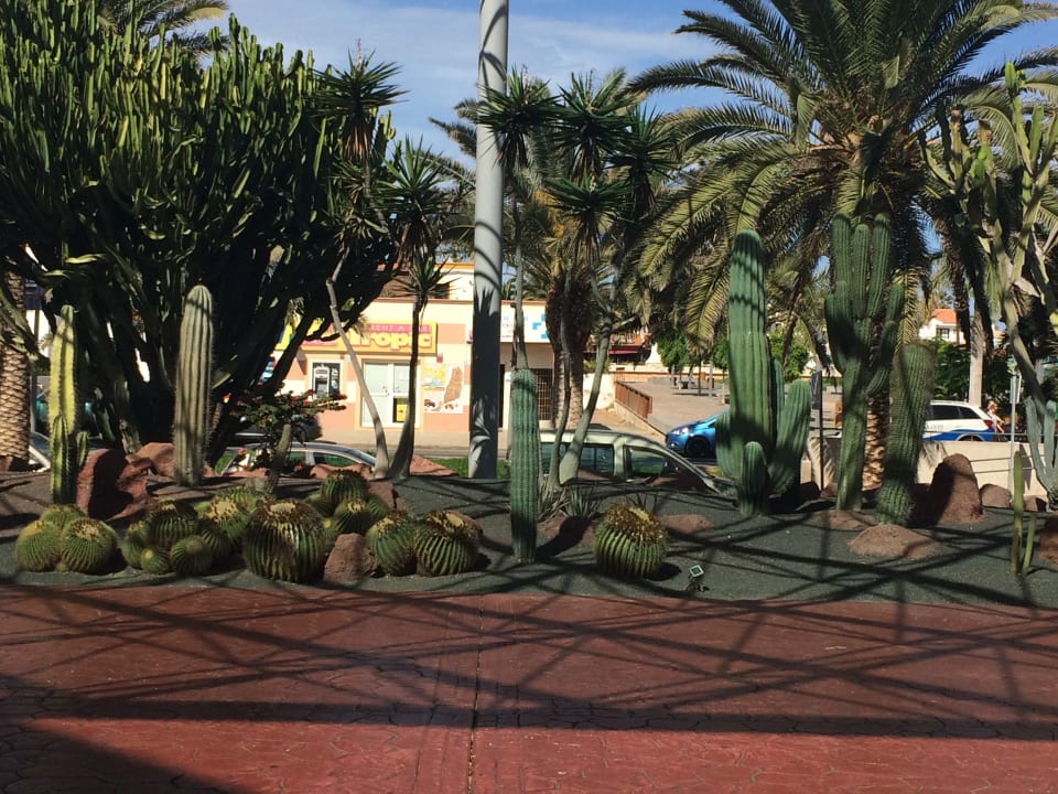 Außenansicht Barceló Fuerteventura Mar