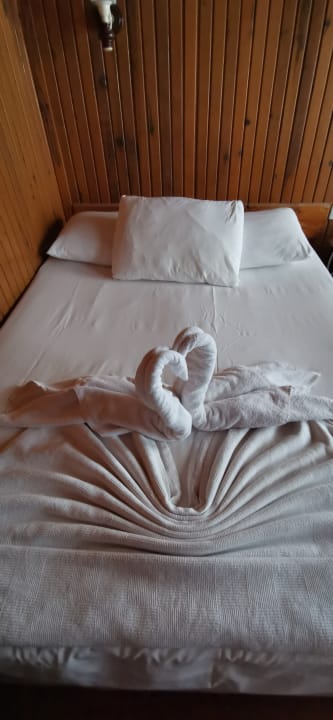 Zimmer Clover Magic Nova Beach
