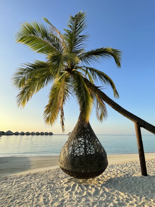 Sonstiges LUX South Ari Atoll