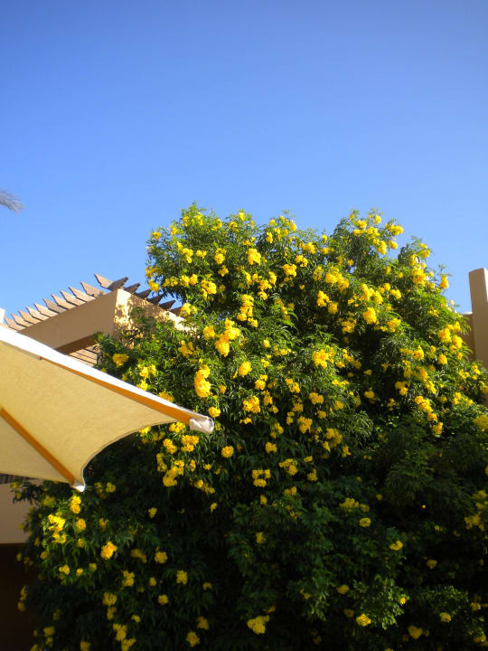 Garten Stella Beach Resort & Spa Makadi Bay