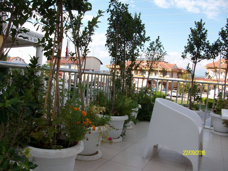 Grüne Ansicht Palm World Side Resort & Spa