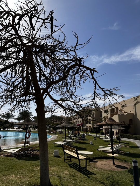 Pool JAZ Aquamarine Resort