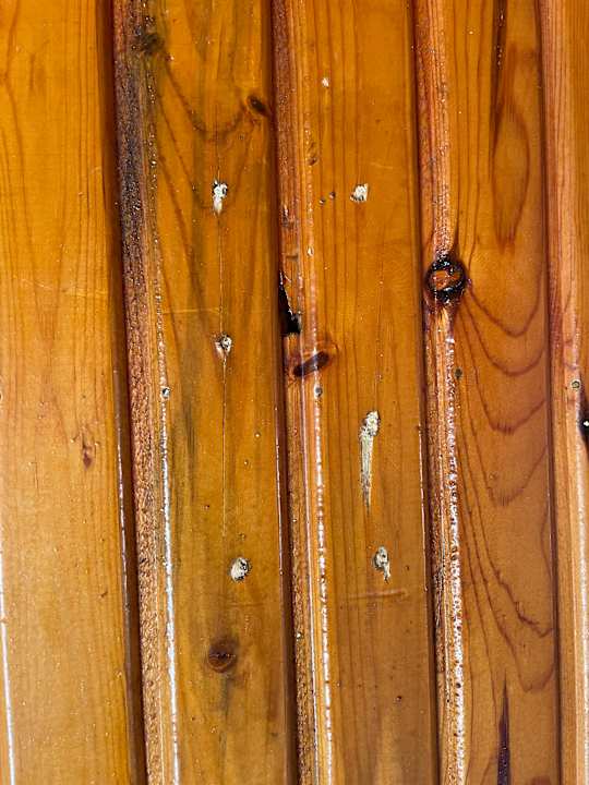 Zimmer Sayanora Hotel