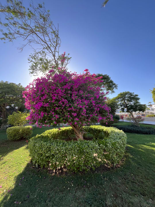 Gartenanlage The Grand Hotel Hurghada