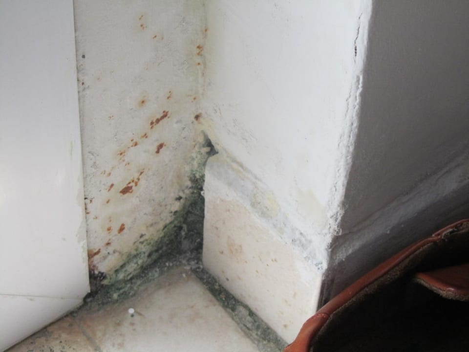 Schimmel pur Incekum Su Hotel