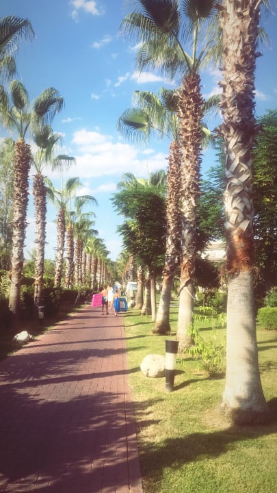 Gartenanlage Sunis Elita Beach Resort & Spa