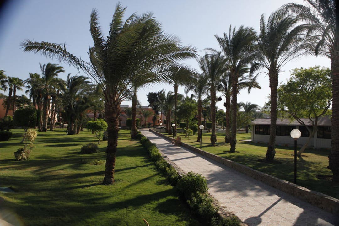 Garten Beach Albatros Resort