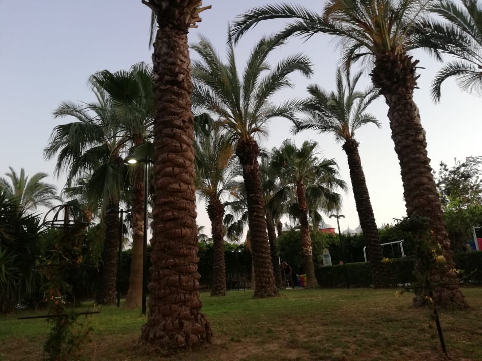 Gastro Calimera Hane Garden