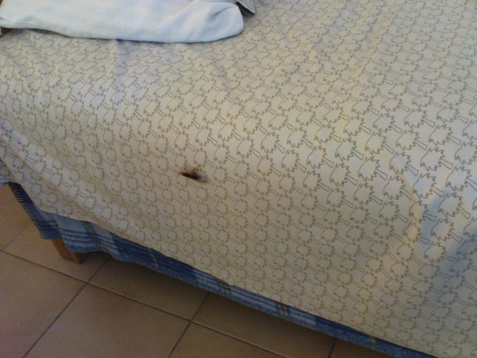 Insekten im Bett Bungalows Parque Bali