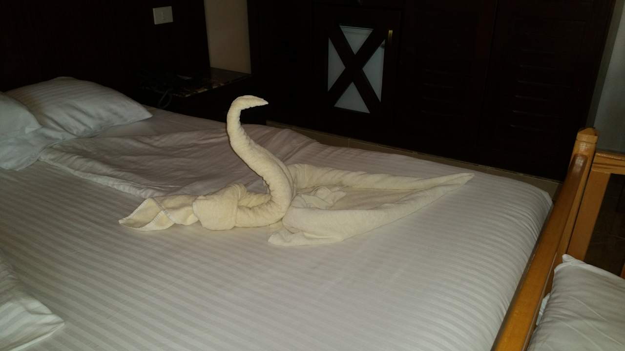 Zimmer Beach Albatros Resort