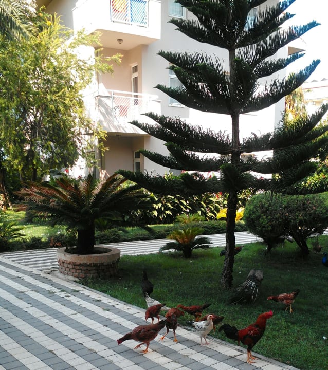 Gartenanlage Seaden Corolla Hotel