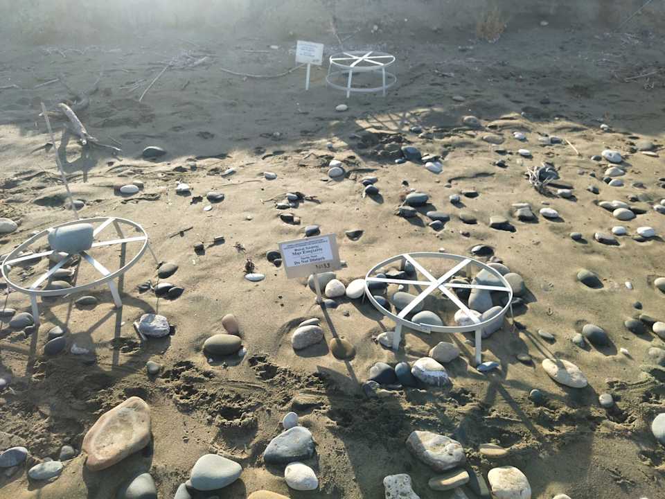 Sonstiges Hotel Natura Beach