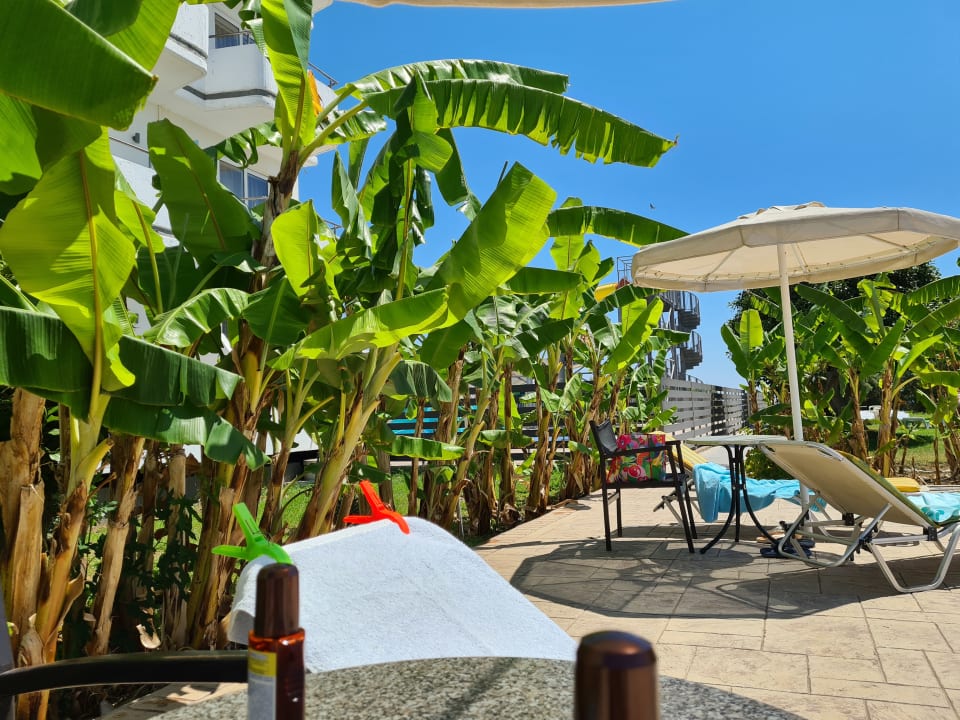 Sonstiges Irene Palace Beach Resort Club alltoura