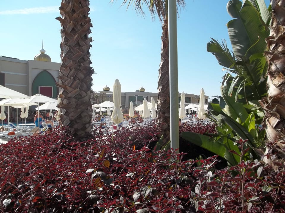 Basen Alan Xafira Deluxe Resort & Spa