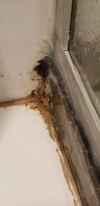 Zimmer Hotel Orfeus Park