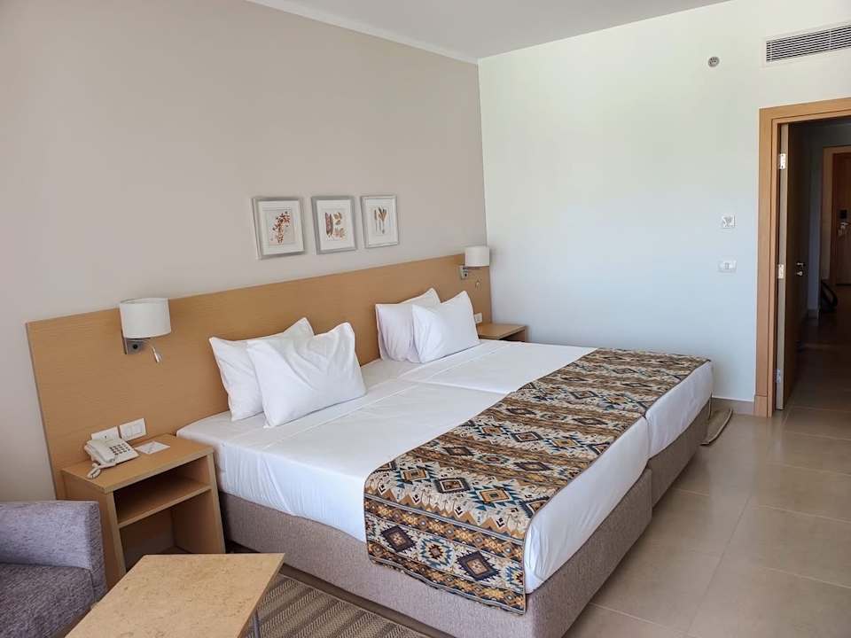 Zimmer JAZ Elite Asteria