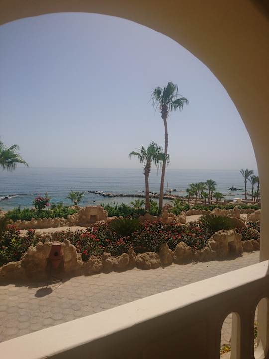 Ausblick Pickalbatros Citadel Resort