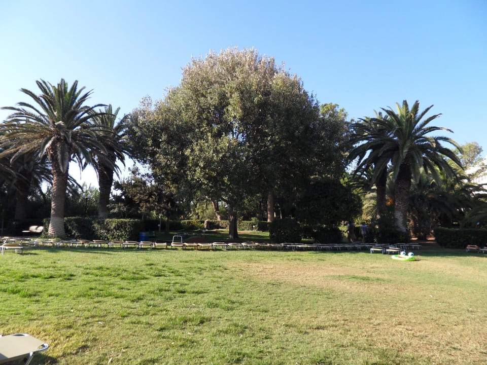 Ein Gartenanlage mit Liegen Apollonia Beach Resort & Spa