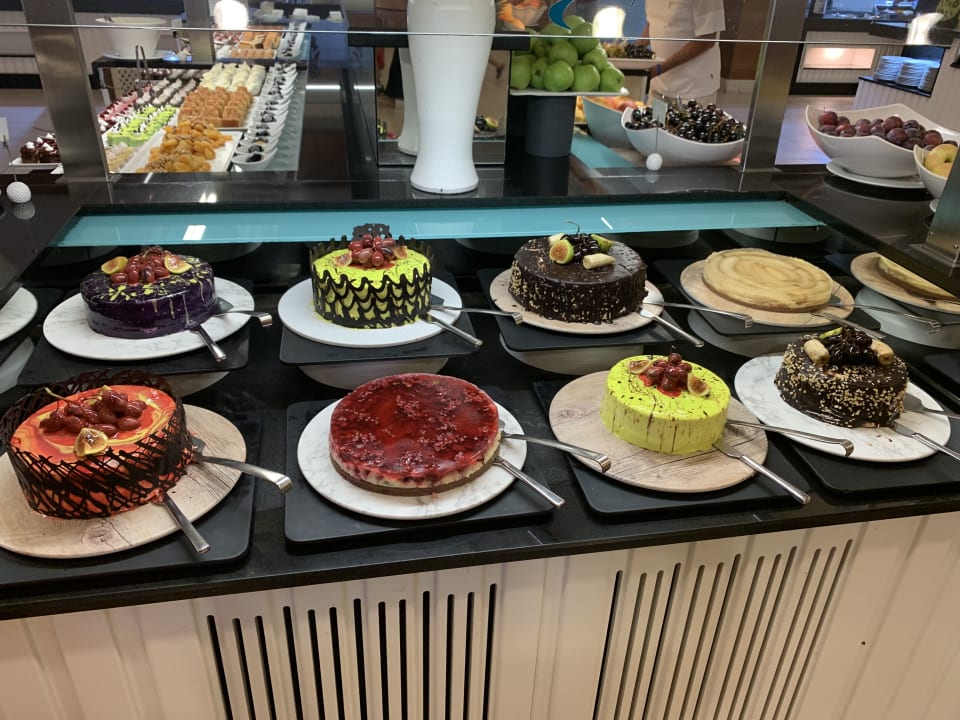 Gastro Paloma Oceana