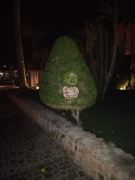 Gartenanlage Jaz Makadi Blue - TUI BLUE Makadi - Adults Friendly 16 Years Plus