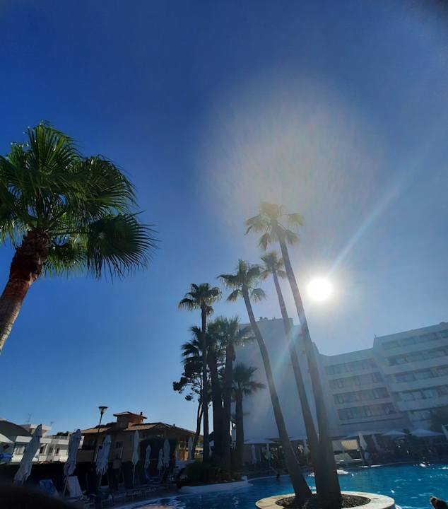 Pool allsun Hotel Eden Alcudia