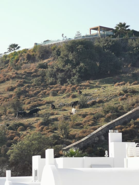 Pool Prive Bodrum - Erwachsenenhotel