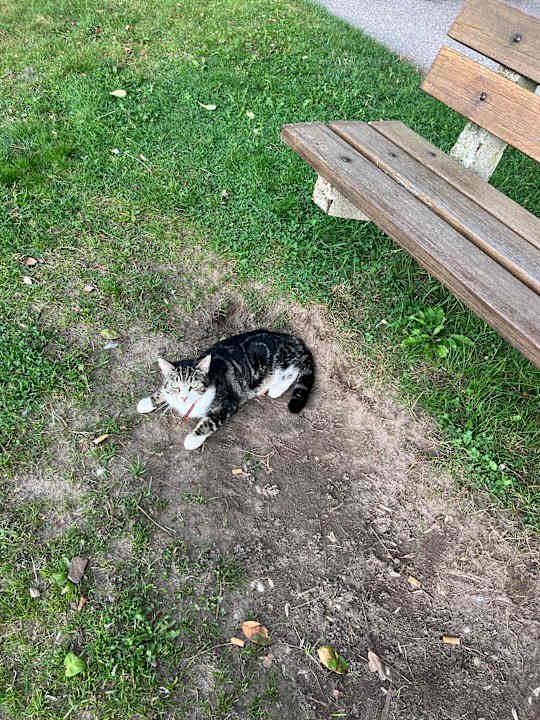 Sonstiges Oostappen Vakantiepark Blauwe Meer