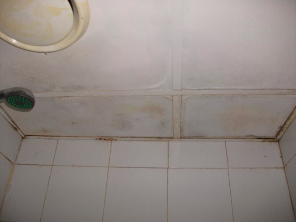 Decke der Dusche Queen's Bay Hotel