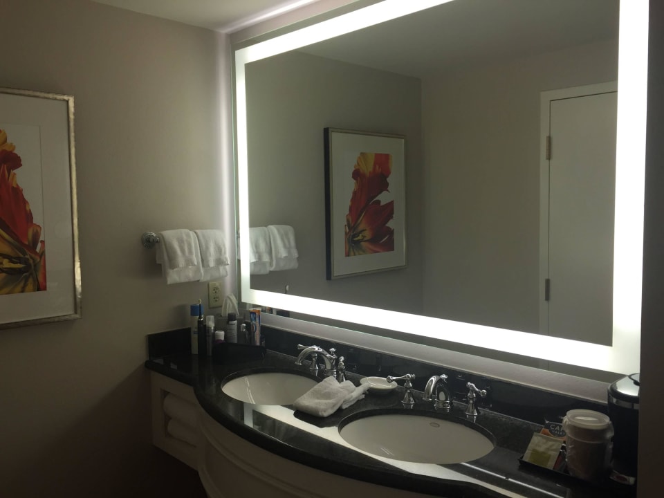 Pic Hotel Gaylord Palms Resort and Spa