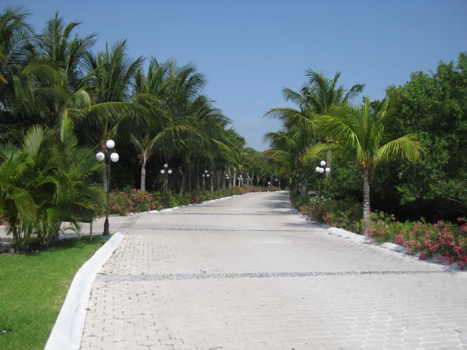 Zufahrt zum Hotel Dreams Tulum Resort & Spa