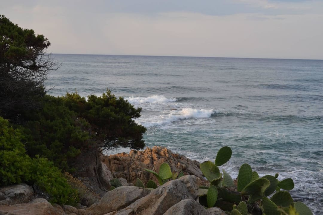 Cala Liberotto Haus 555 - Ausblick Sardafit Nr. 555a - Surfer's Traumhaus an zwei Sandstränden