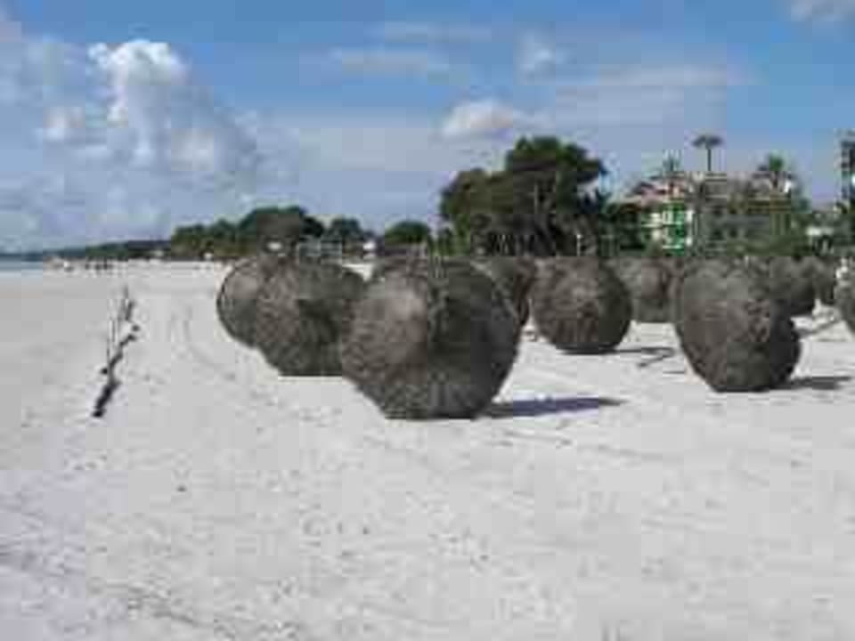 Hoteleingangseite Alcudia Garden Aparthotel