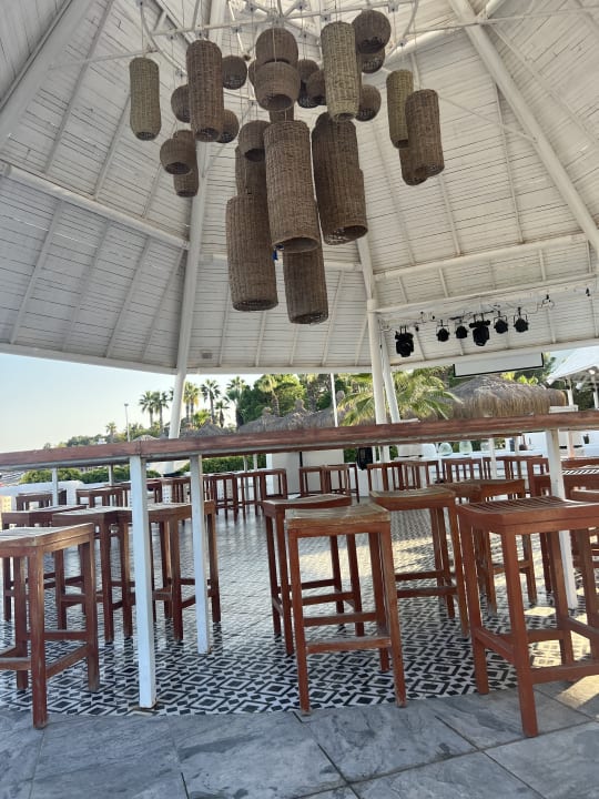 Gastro Balmy Foresta