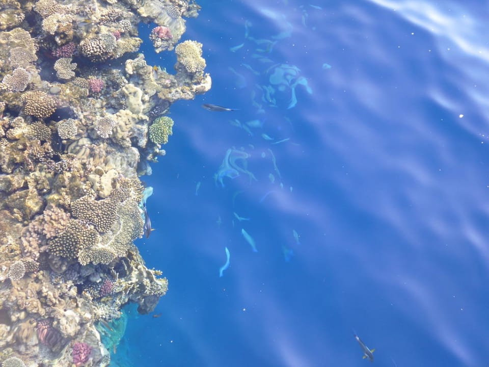 Riff The Grand Hotel Sharm El Sheikh